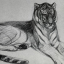 Gaston SUISSE (1896-1988) - Tigre couché